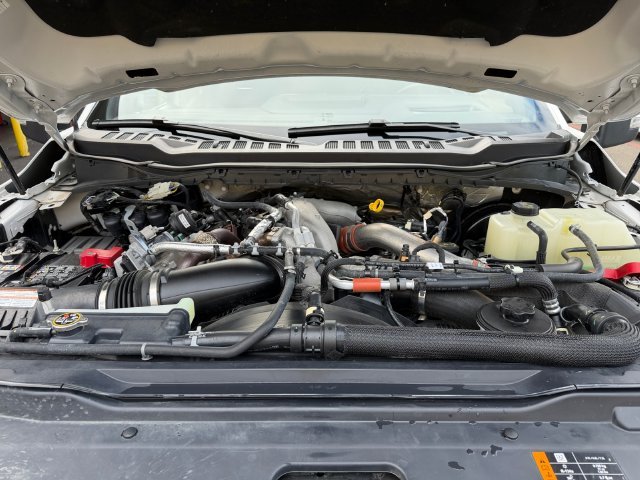 Used 2025 White Ford Platinum image 19