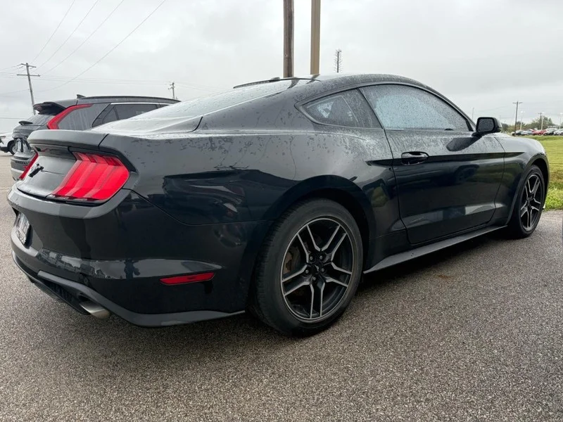Used 2019 Shadow Black Ford EcoBoost Premium Fastback image 4