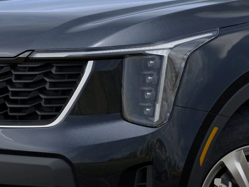 New 2026 Panthera_Metal Kia LX image 9