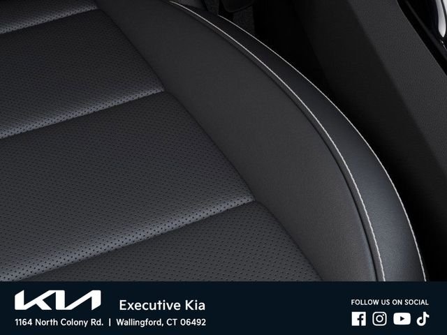 New 2025 Panthera Metal Kia LX image 24