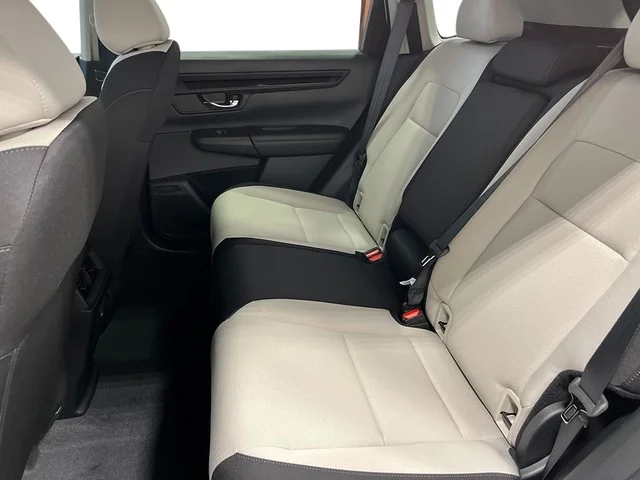 New 2026 Platinum White Pearl Honda LX image 20