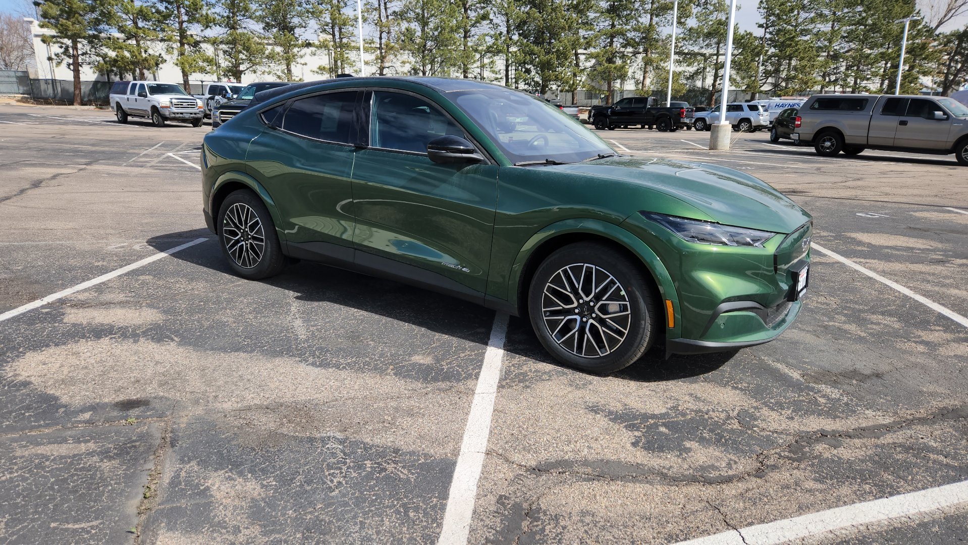 New 2026 Eruption Green Metallic Ford Premium image 18