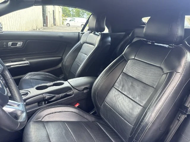 Used 2019 Blue Ford EcoBoost Premium image 14