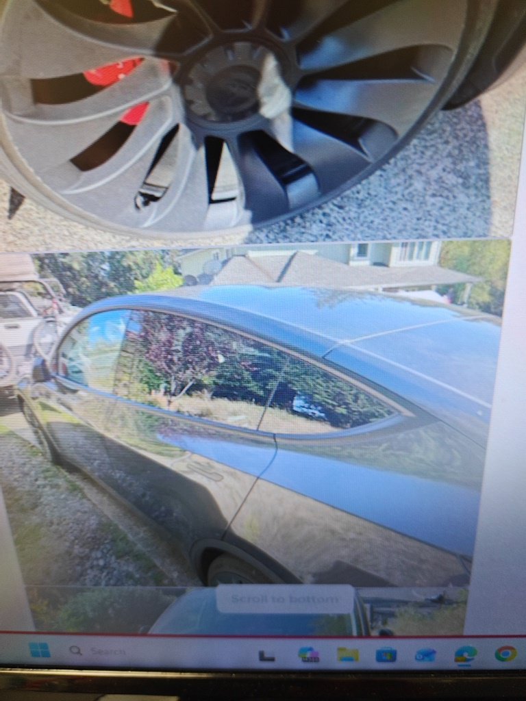 Used 2024 Black Tesla Performance image 2
