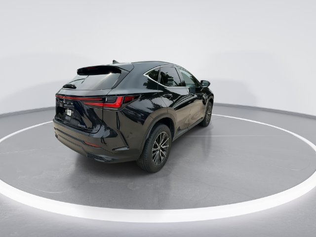 2024 Lexus NX 250 - Photo 8