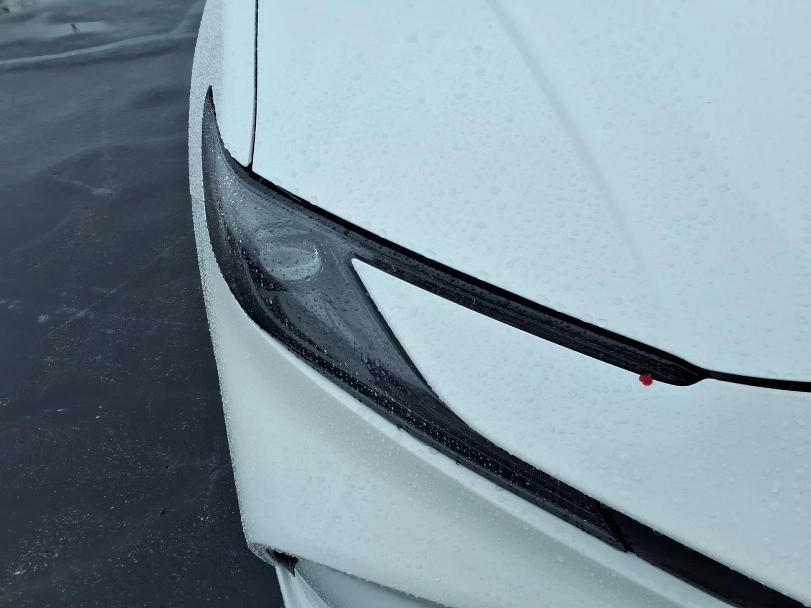 Used 2025  Toyota LE image 13