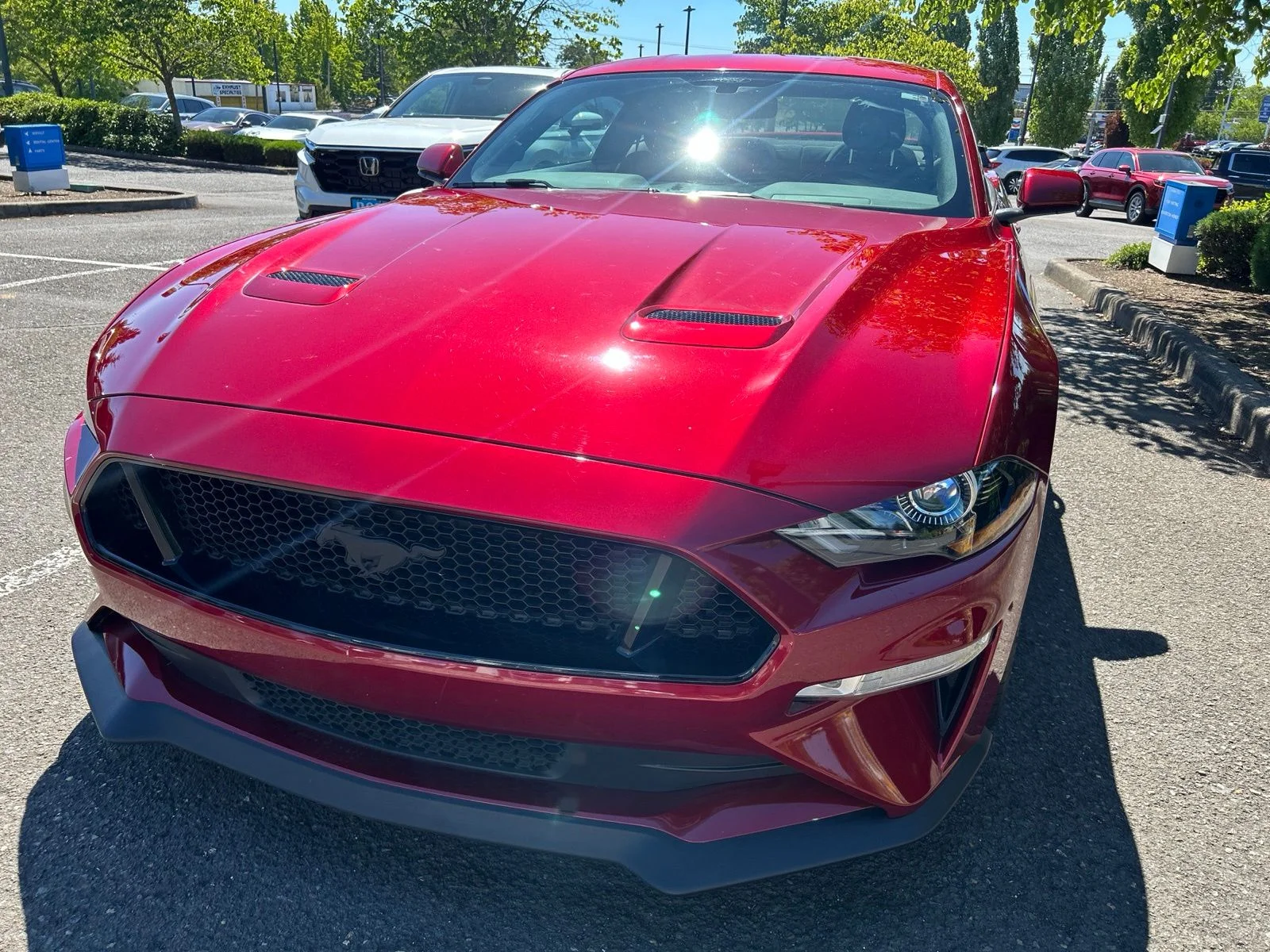Used 2019 Ruby Red Metallic Ford GT image 2
