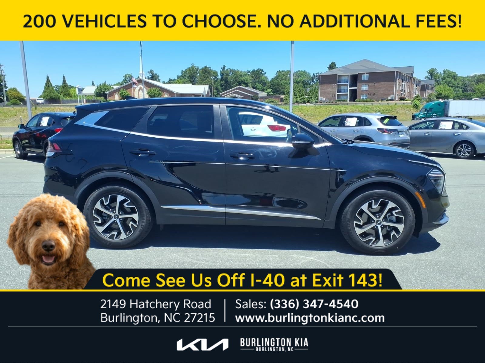 Certified Used 2024 Ebony Black Kia EX image 26