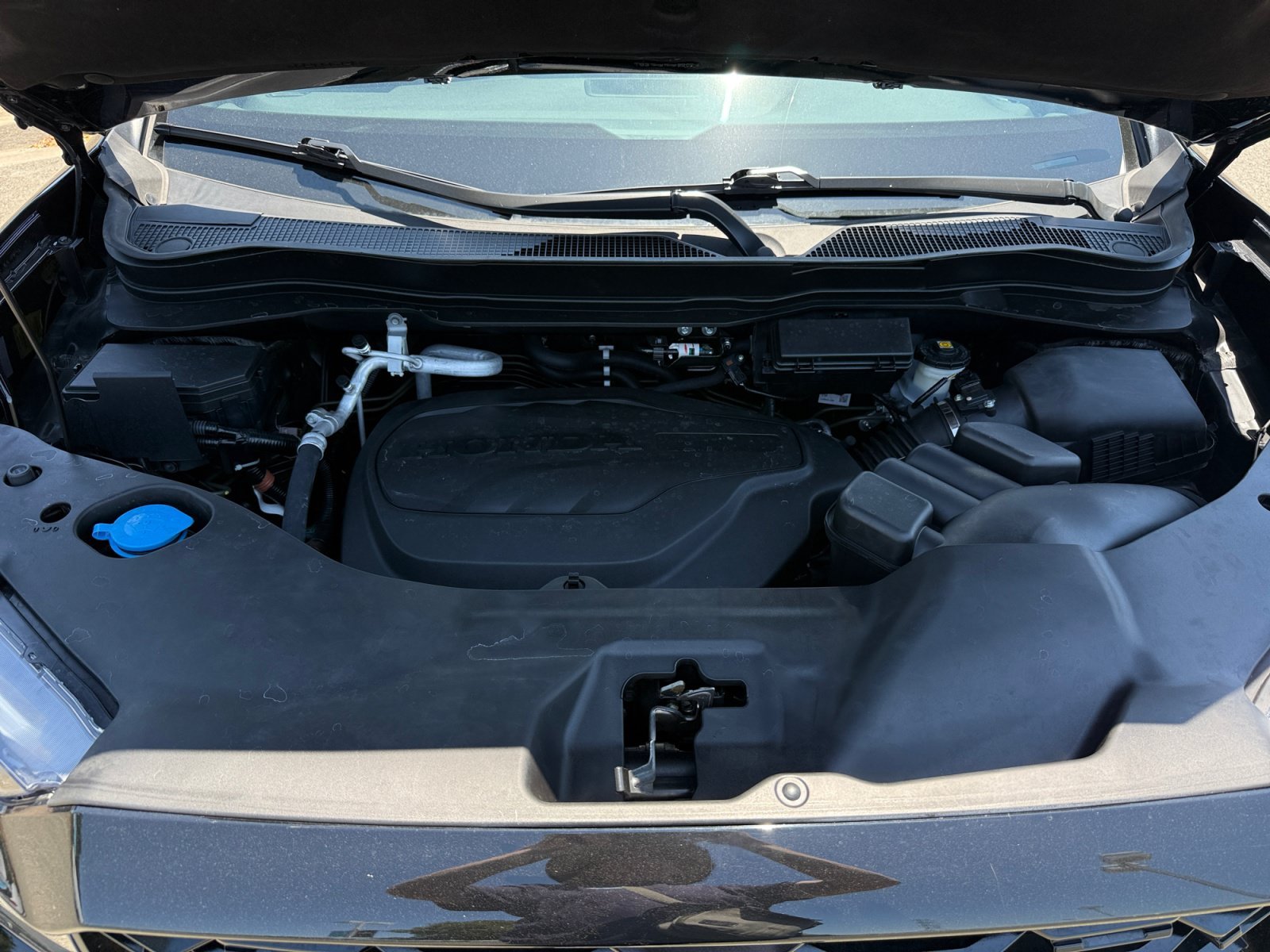 Used 2023 Trans Honda Elite image 20