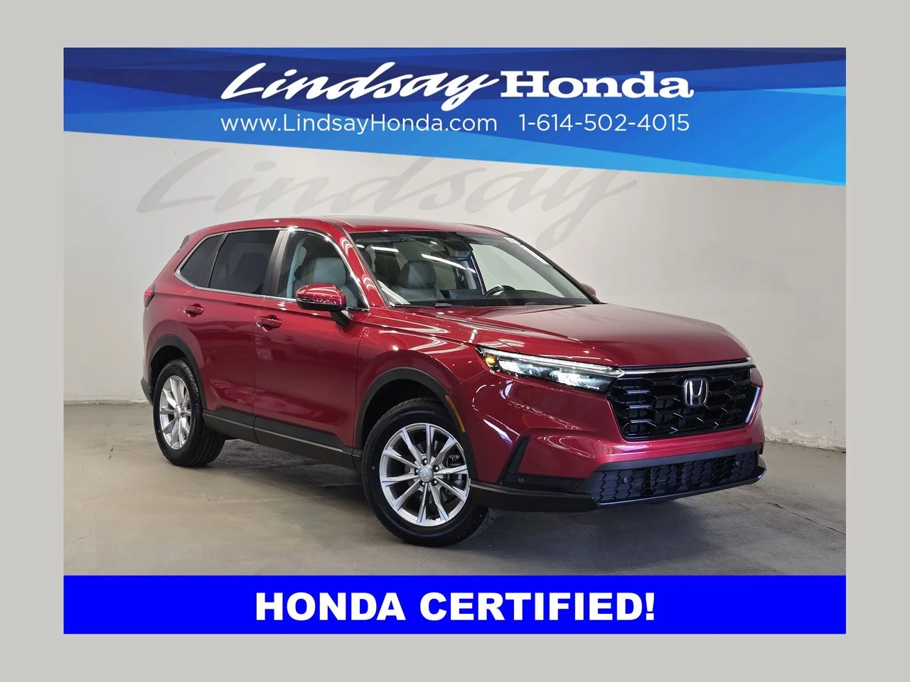 2023 Honda CR-V EX-L w/o BSI AWD's photo