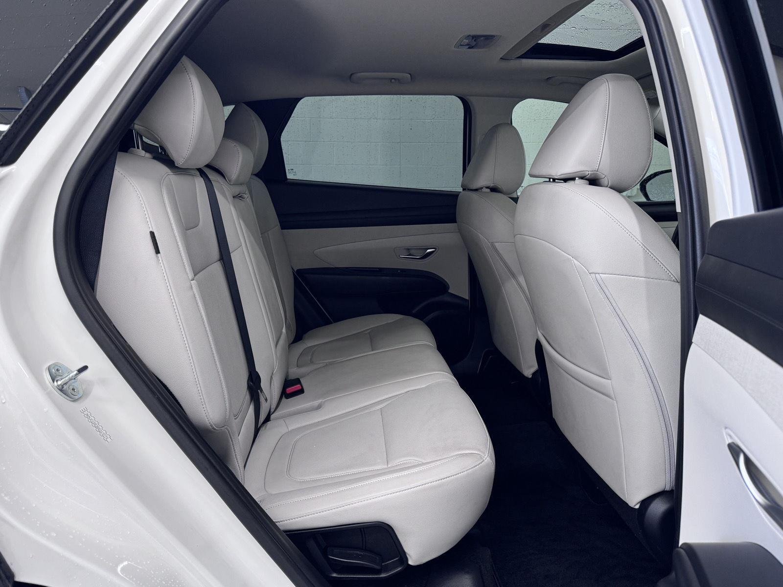 Used 2025 Serenity White Pearl Hyundai SEL Convenience image 5