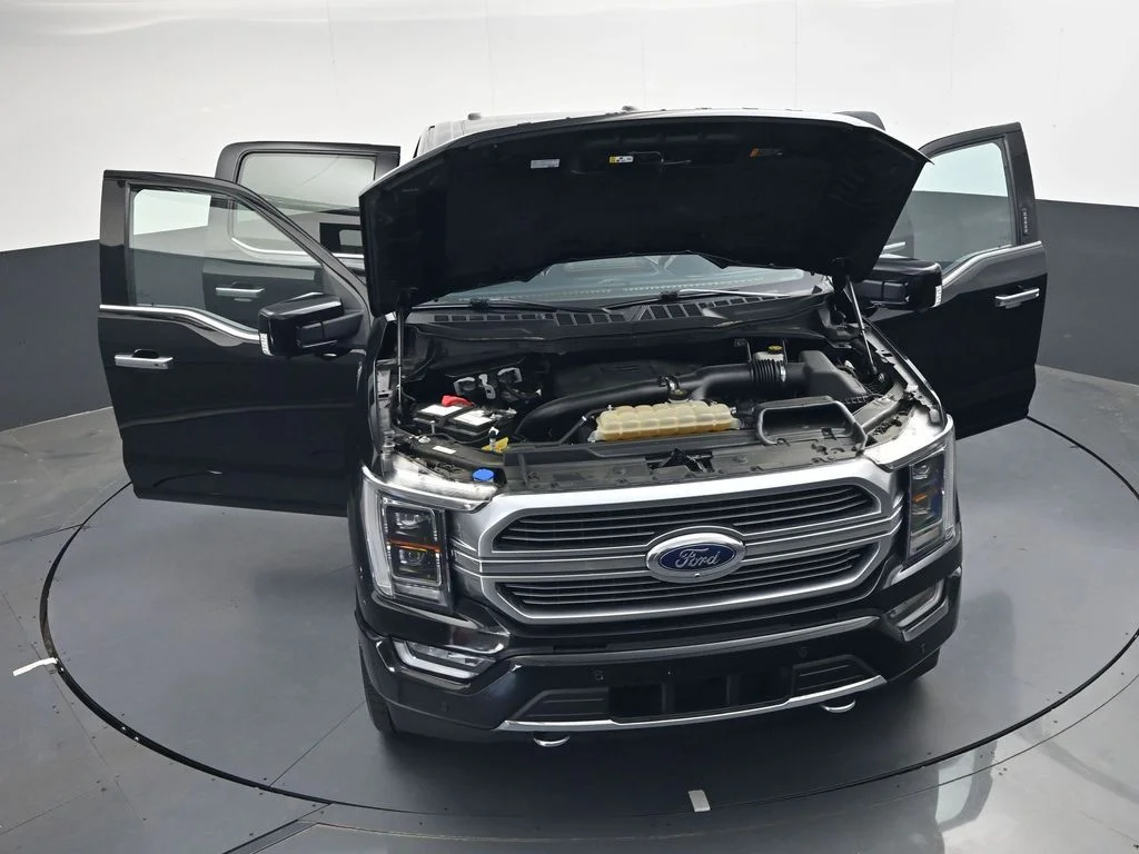 2021 Ford F-150 Limited - Photo 35