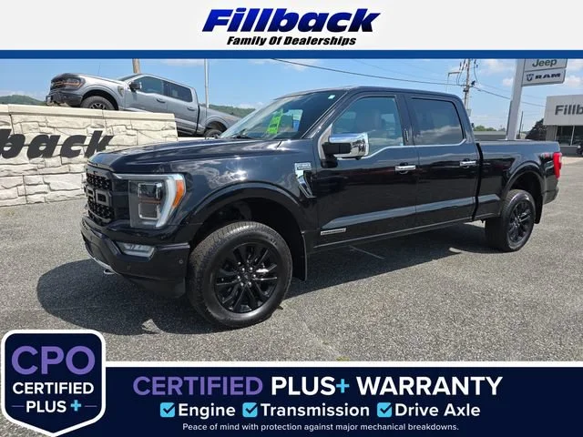 2021 Ford F-150 Platinum