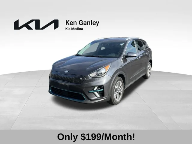2019 Kia Niro EV EX Premium