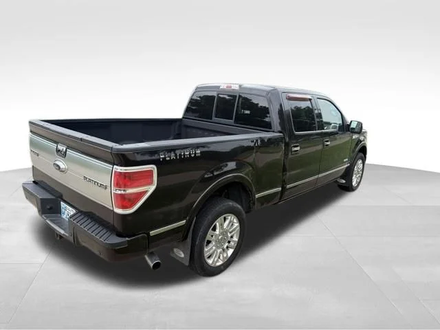 Used 2013 Brown Ford Platinum image 3