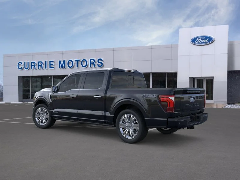 New 2026 Agate Black Metallic Ford Platinum image 26