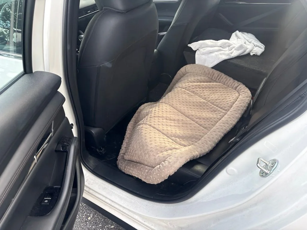 Used 2024 White Mazda 2.5 Turbo Premium Plus Package image 15