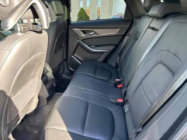 Used 2023 Santorini Black Jaguar S image 19