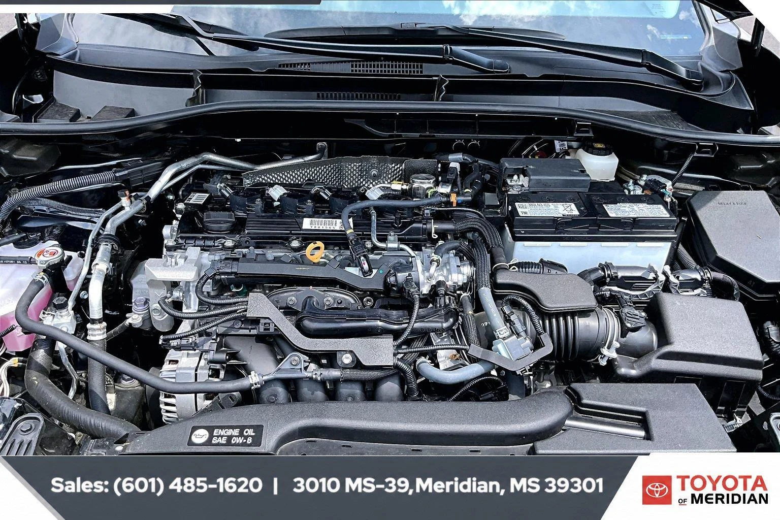 Used 2025 Jet Black Toyota XLE image 8
