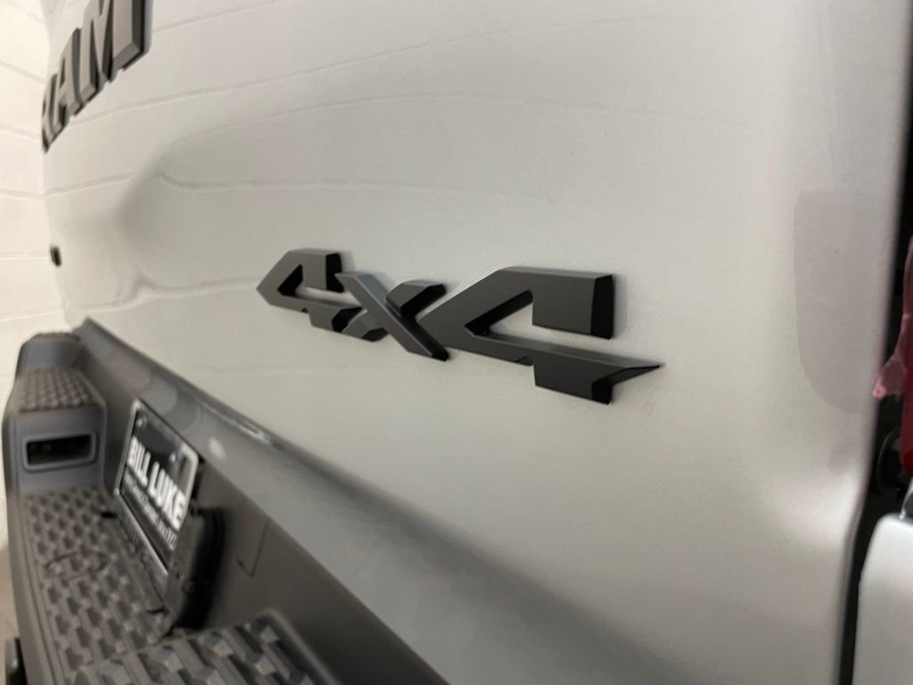 New 2026 Silver Zynith Exterior Paint RAM RHO image 5