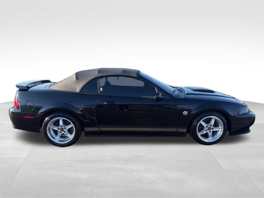 Used 2004 Black Ford GT image 6