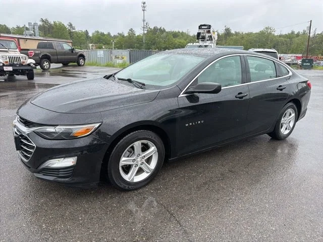 2019 Chevrolet Malibu 1FL (Fleet)'s photo