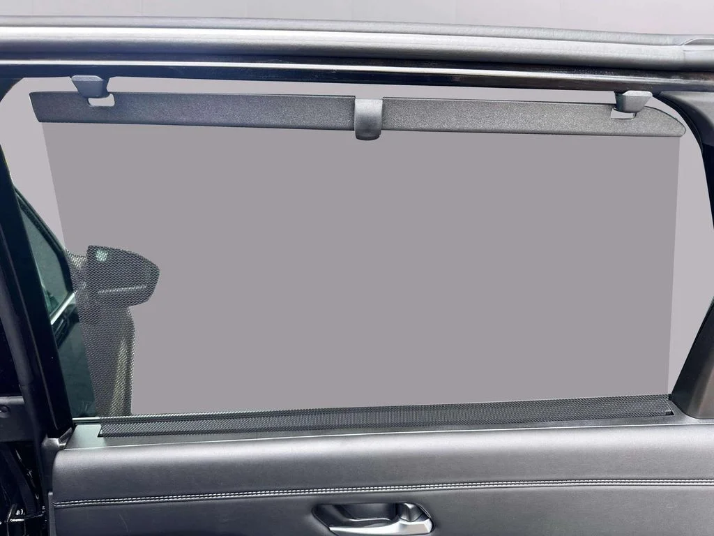 New 2026 Super Black Nissan Platinum image 20