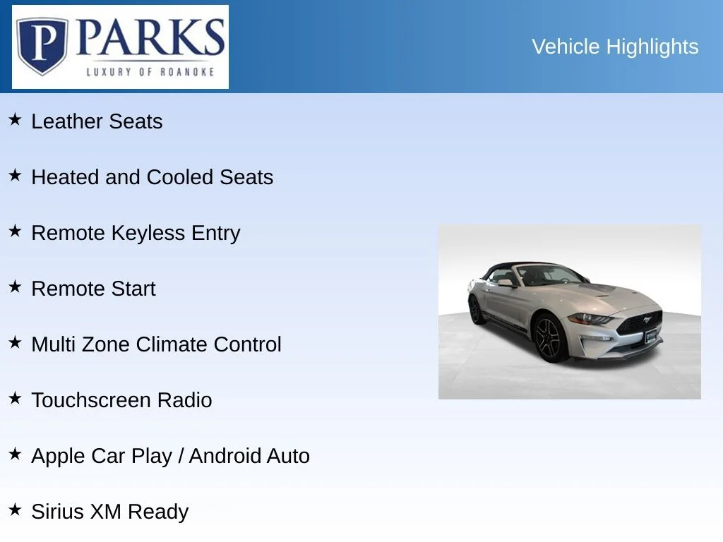 Used 2019 Silver Ford EcoBoost Premium image 4
