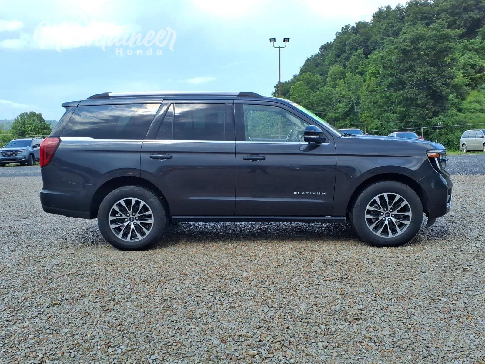 Used 2025 Dark Matter Gray Ford Platinum image 4