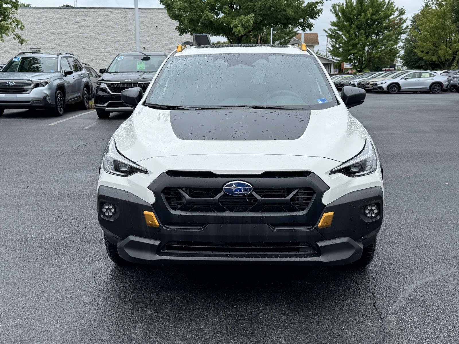 Used 2025 Crystal White Pearl Subaru Wilderness image 6