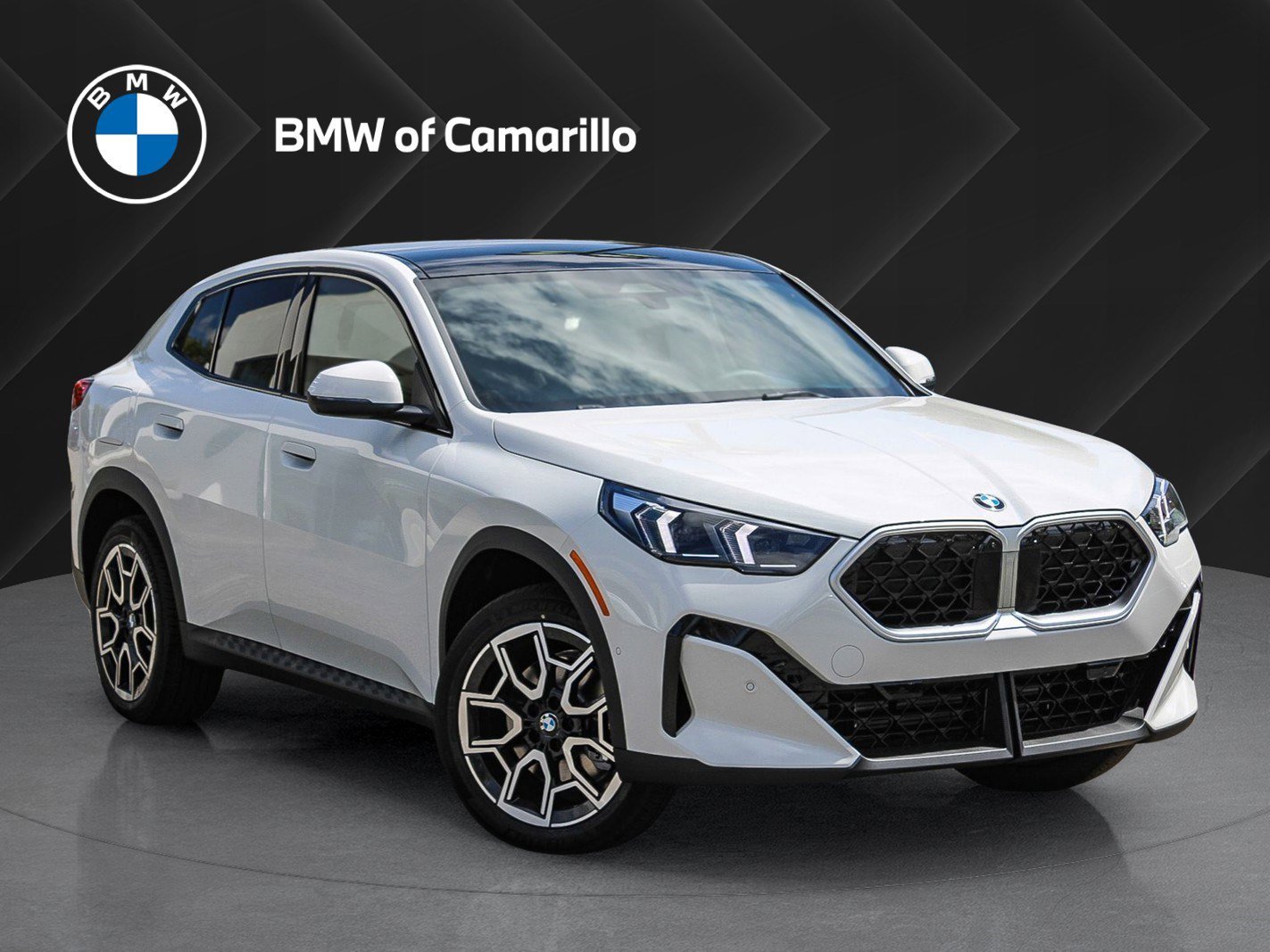2026 BMW X2 xDrive28i's photo