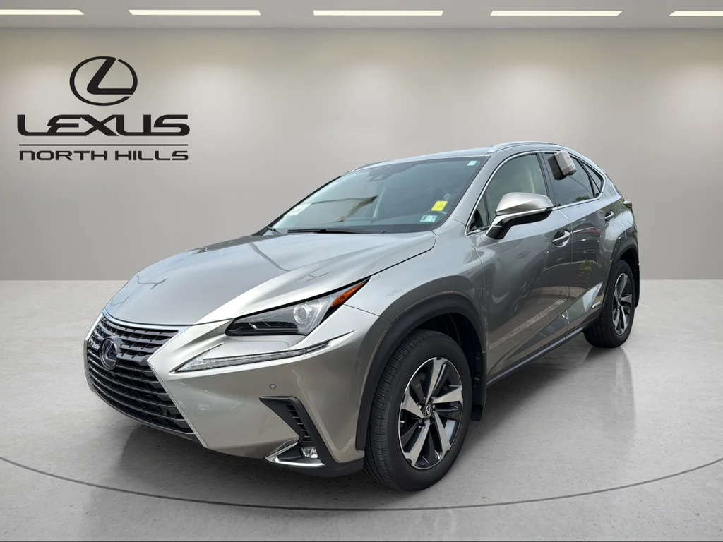 2020 Lexus NX 350h 300h AWD's photo