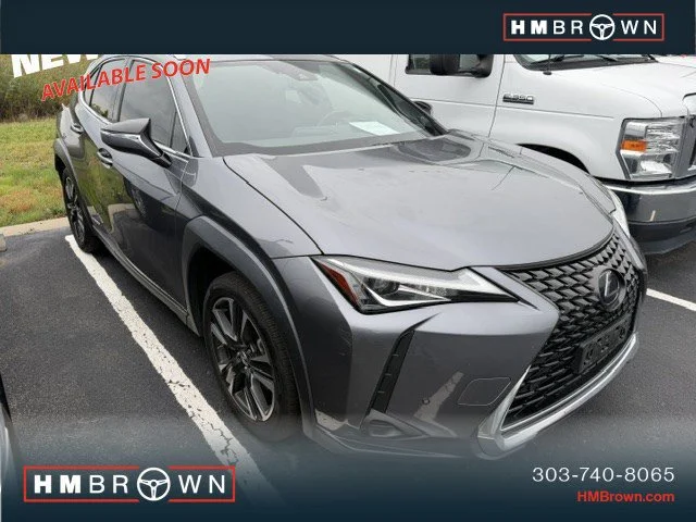 2020 Lexus UX Hybrid