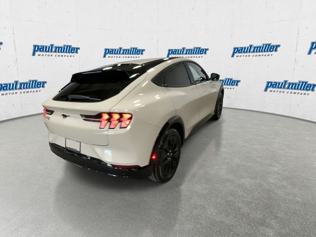 New 2026 Beige Ford Premium image 11