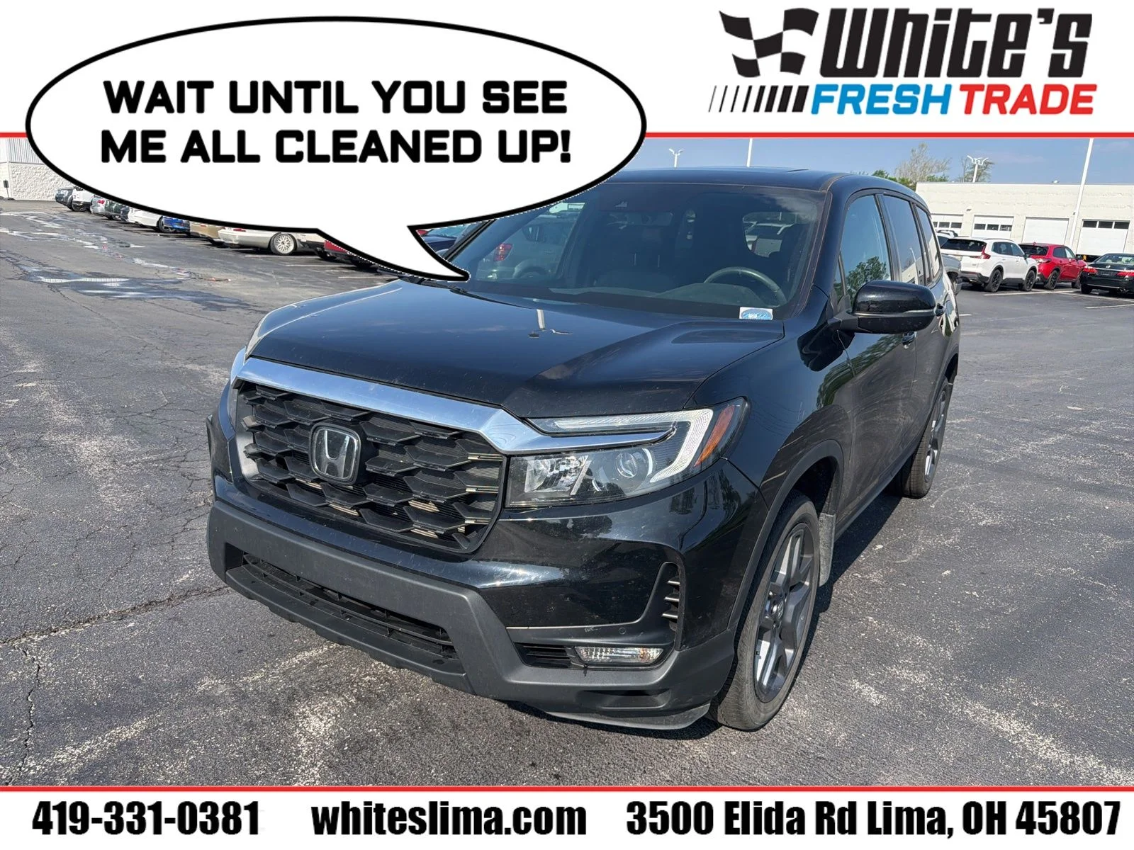 2023 Honda Passport 3.5 EX-L 4WD Auto's photo