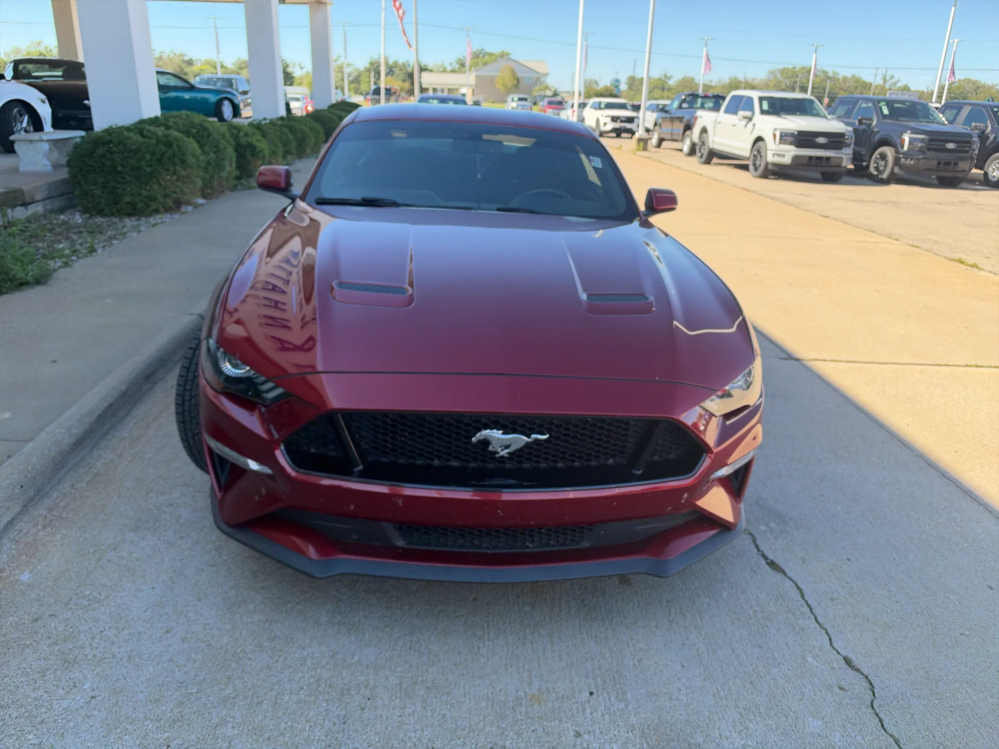 Used 2018 Ruby Red Tinted Clearcoat Metallic Ford GT image 3
