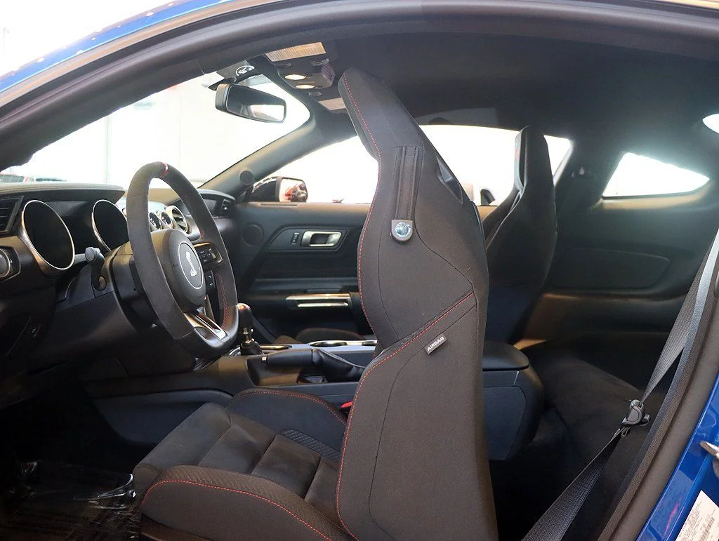 2017 Ford Mustang Shelby GT350 - Photo 36