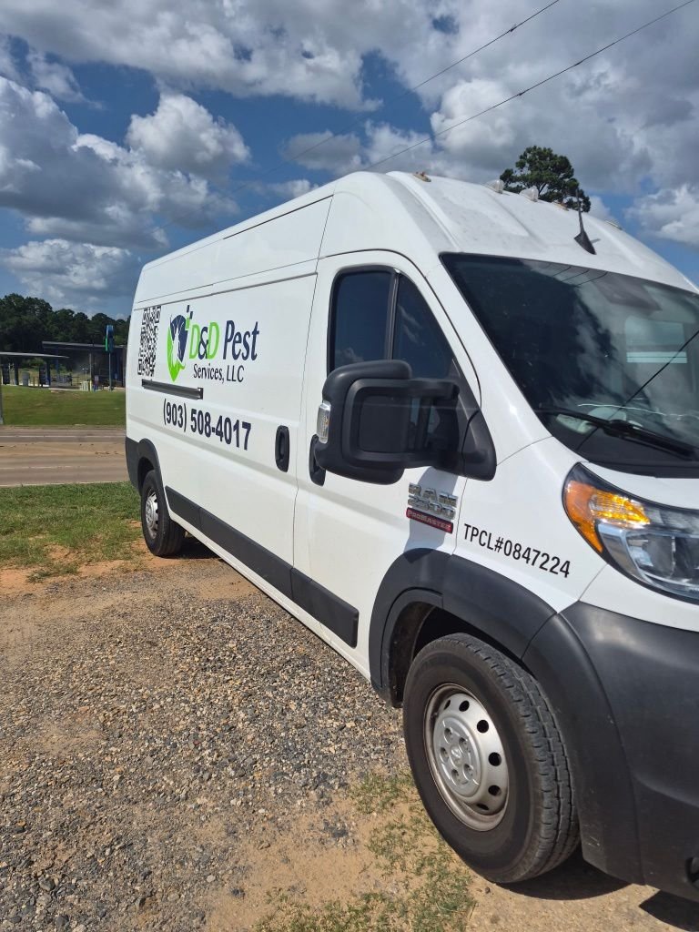 Used 2022 White Ram High Roof image 3