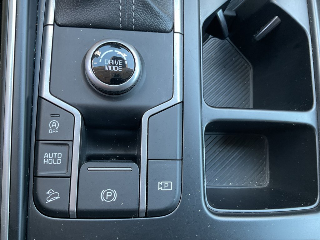 Used 2025 Panthera Metal Kia LX image 29