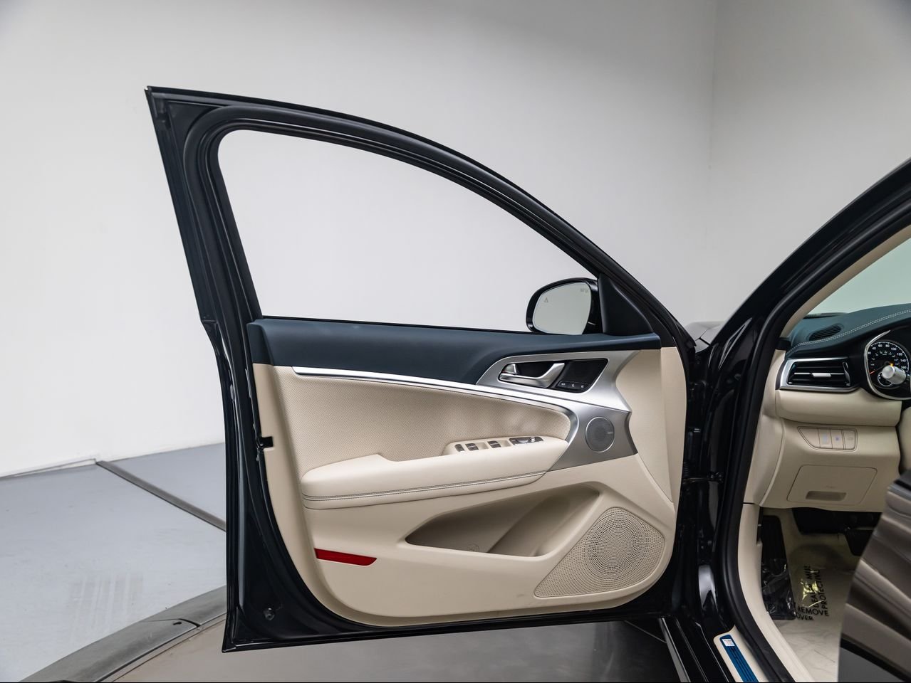 New 2026 Vik Black Genesis 2.5T PRESTIGE image 23