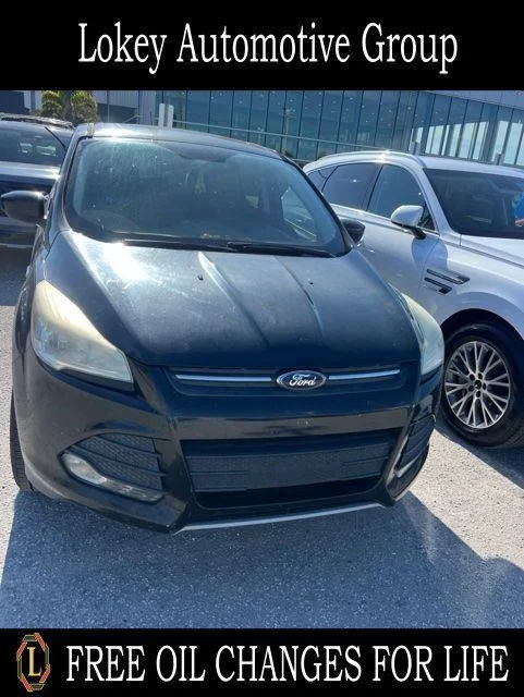 2014 Ford Escape SE's photo