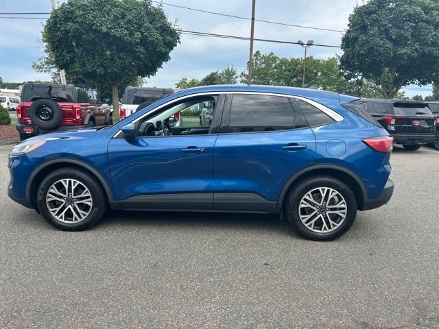 Used 2022 Blue Ford SEL image 4