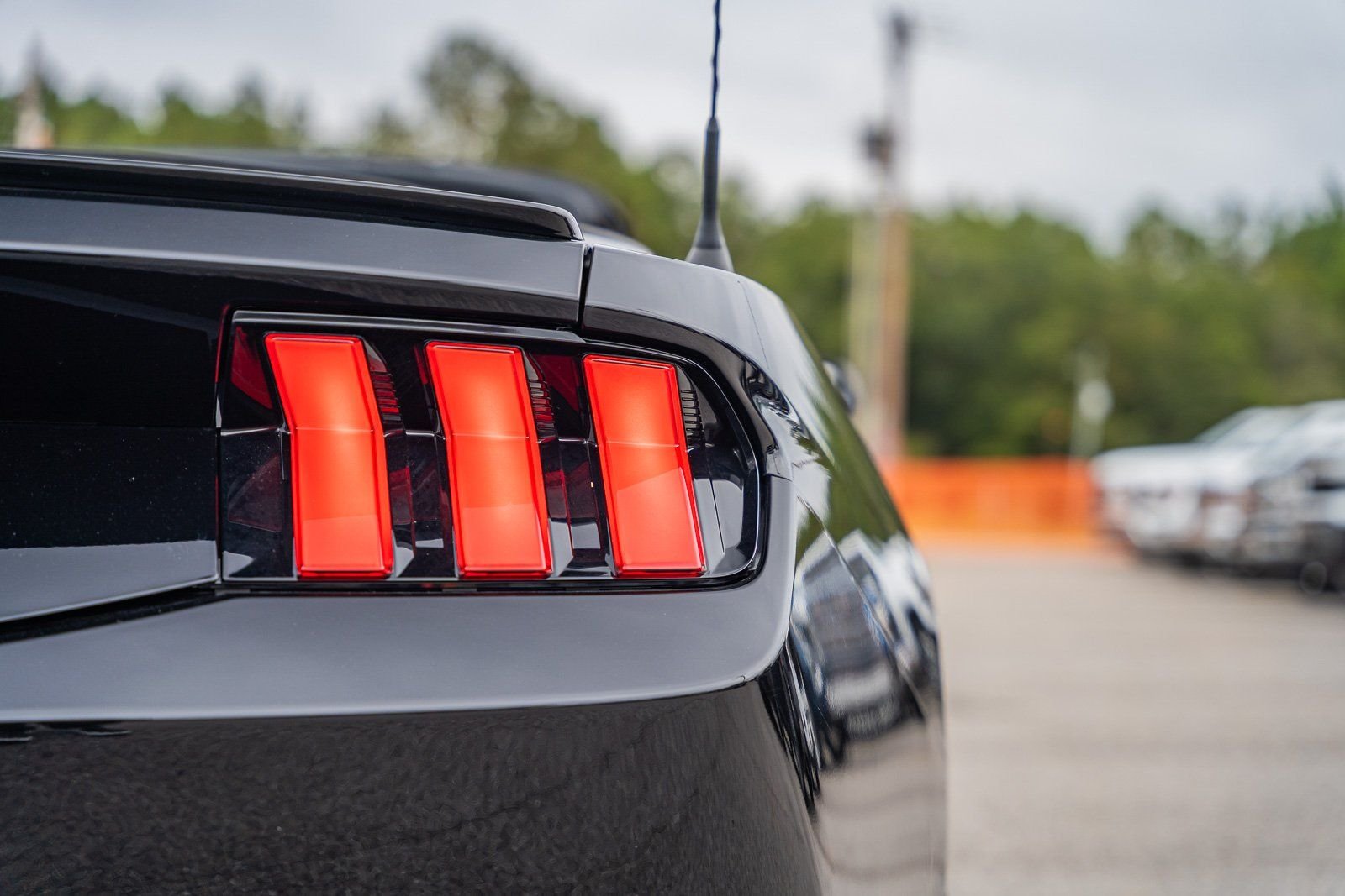 2025 Ford Mustang EcoBoost Premium Convertible - Photo 14