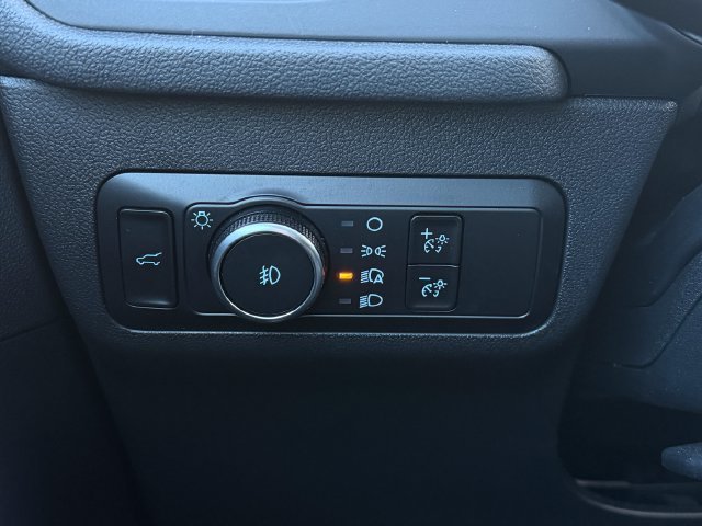 Used 2025 Silver Ford Platinum image 24