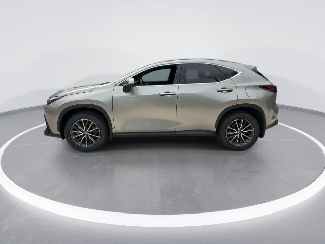 2025 Lexus NX 250 - Photo 5