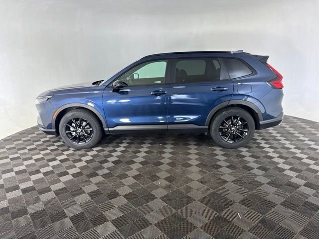 Used 2026 Blue Honda Sport-L image 10