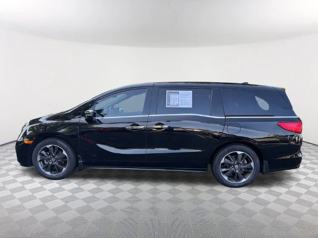 Used 2023 Black Honda Elite image 8