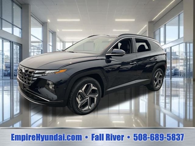 Used 2024 Deep Sea Hyundai Limited image 1
