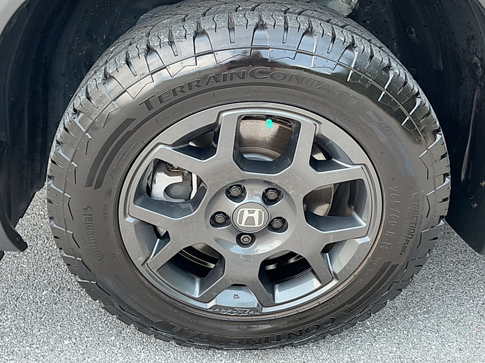 Used 2025 Blue Honda TrailSport image 5