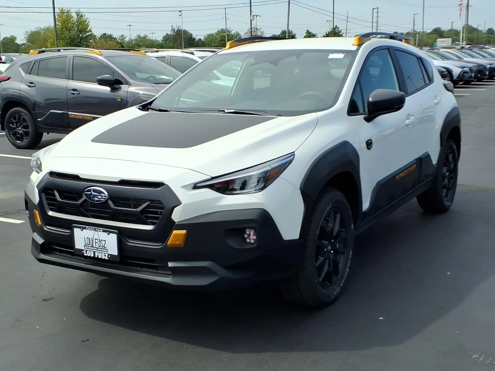 New 2026 CRYSTAL WHITE PEARL Subaru Wilderness image 2